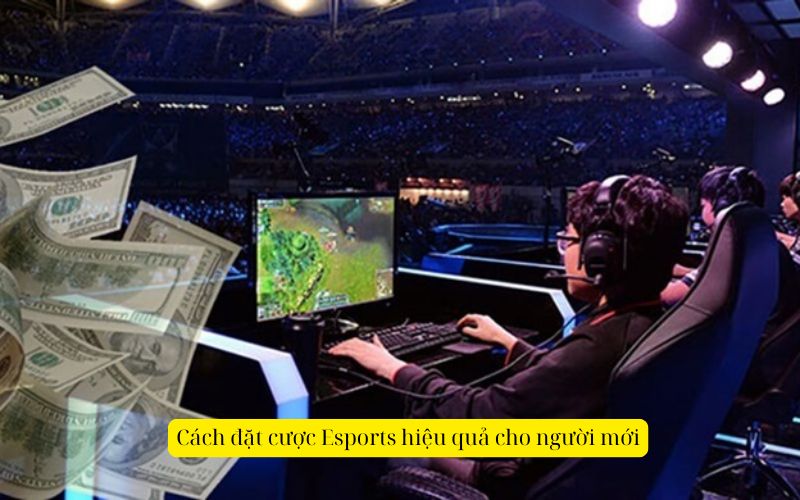 Cách đặt cược Esports hiệu quả cho người mới