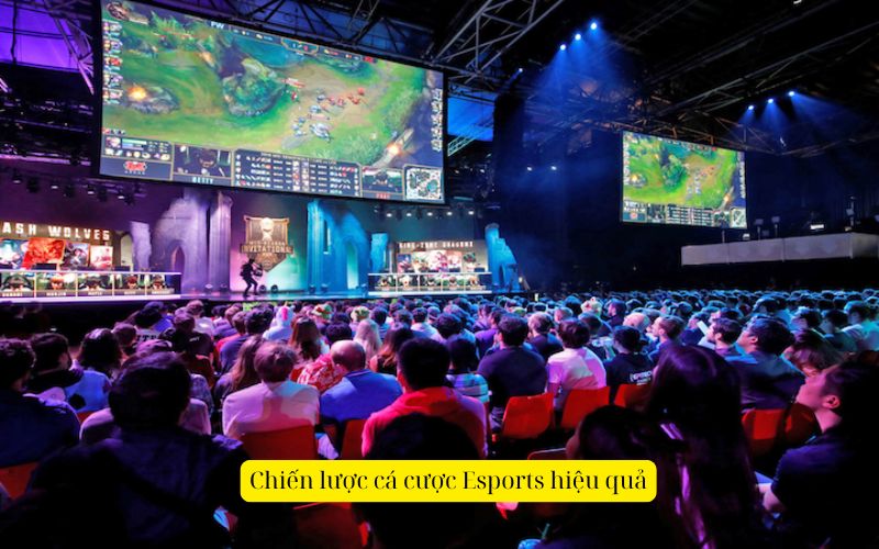 Chiến lược cá cược Esports hiệu quả