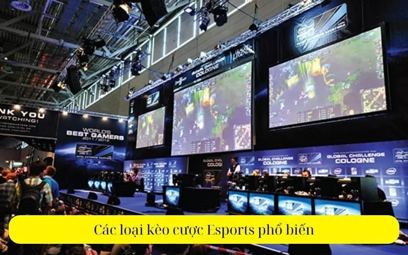 Các loại kèo cược Esports phổ biếnn