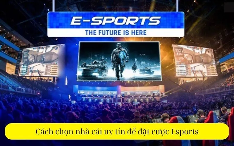 Cách chọn nhà cái uy tín để đặt cược Esports