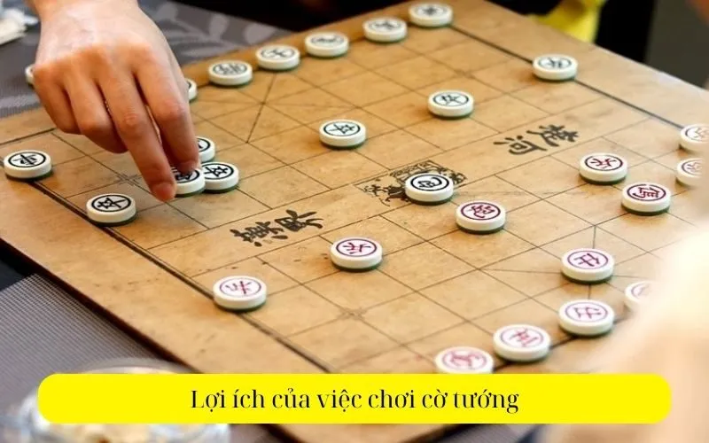 Lợi ích của việc chơi cờ tướng