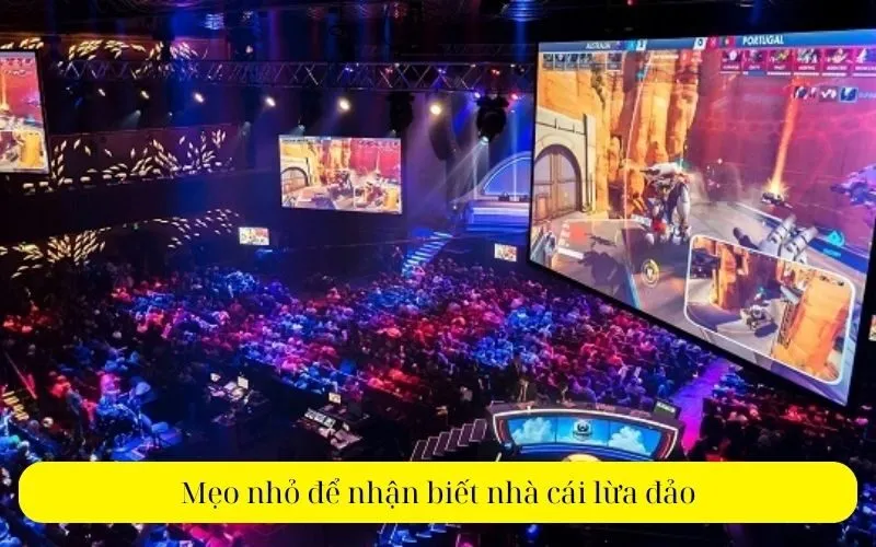 Mẹo nhỏ để nhận biết nhà cái lừa đảo