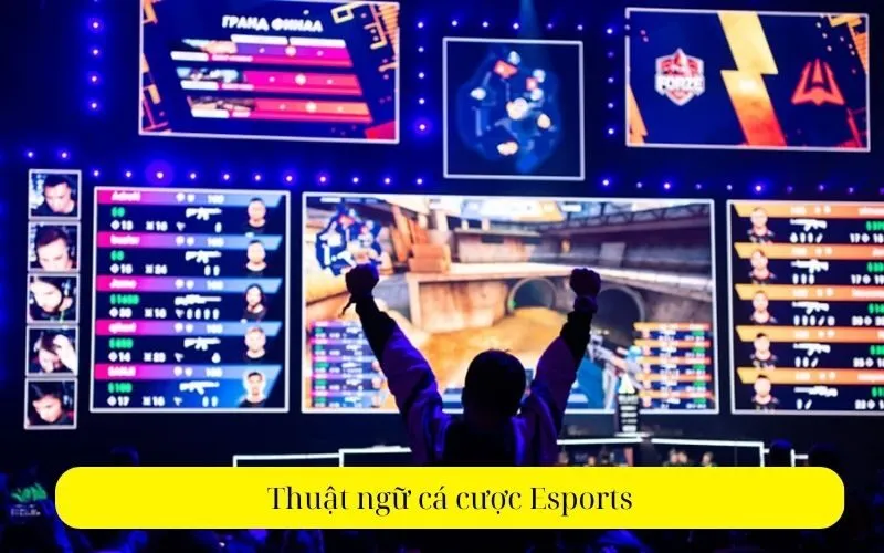 Thuật ngữ cá cược Esports