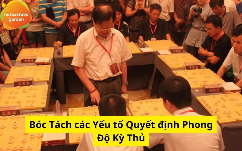 Bóc Tách các Yếu tố Quyết định Phong Độ Kỳ Thủ