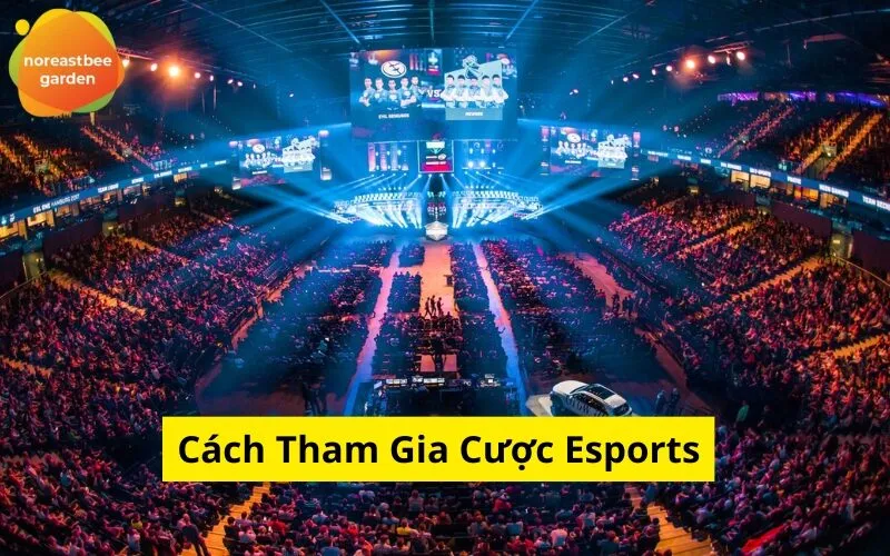 Cách Tham Gia Cược Esports