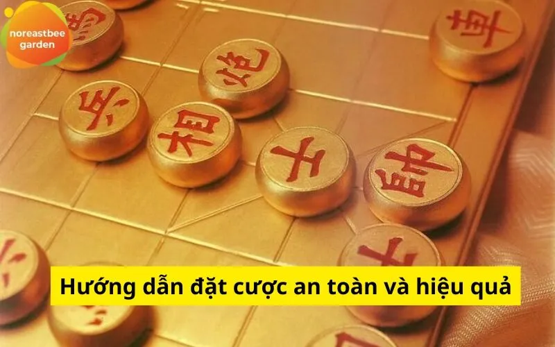 Hướng dẫn đặt cược an toàn và hiệu quả