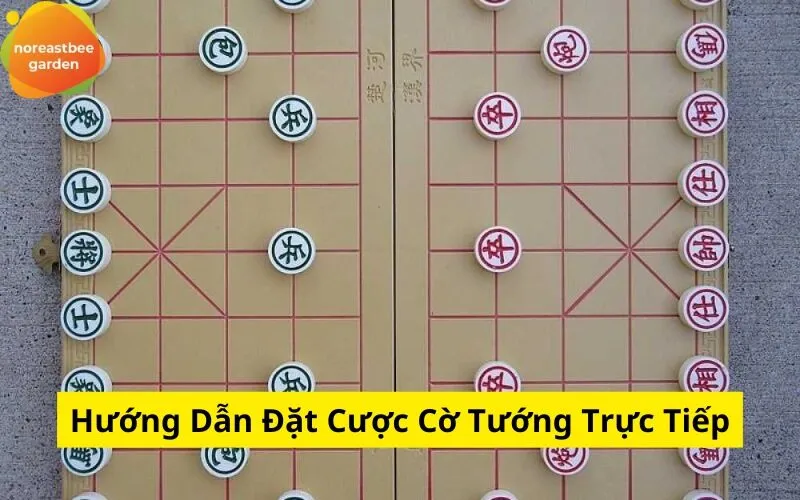 Hướng Dẫn Đặt Cược Cờ Tướng Trực Tiếp