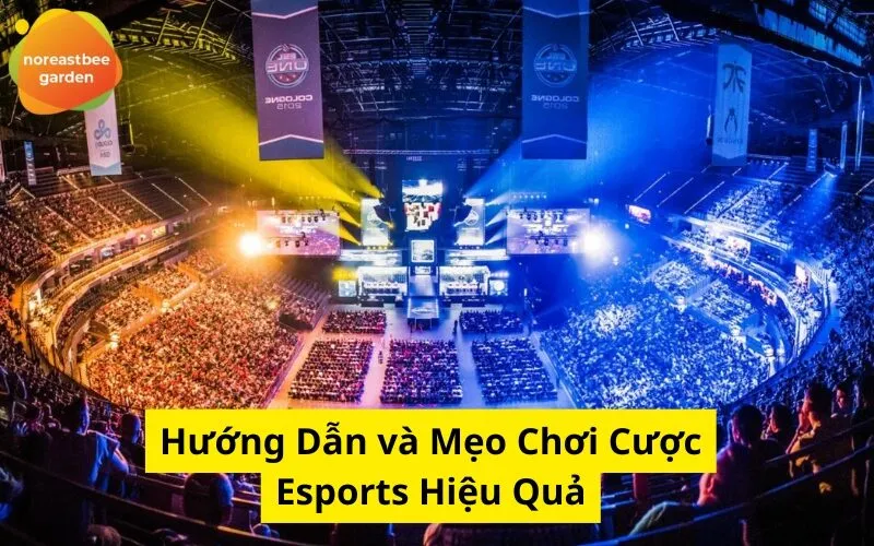 Hướng Dẫn và Mẹo Chơi Cược Esports Hiệu Quả