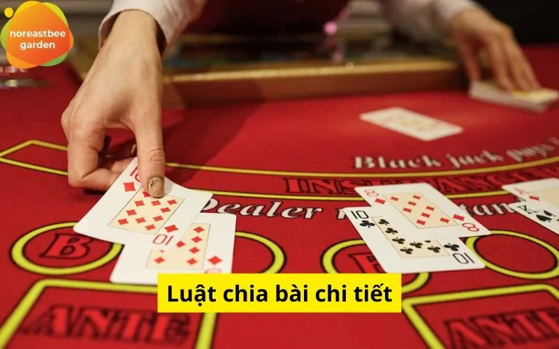 Luật chia bài chi tiết