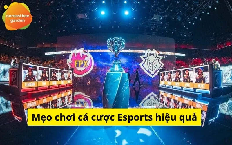 Mẹo chơi cá cược Esports hiệu quả