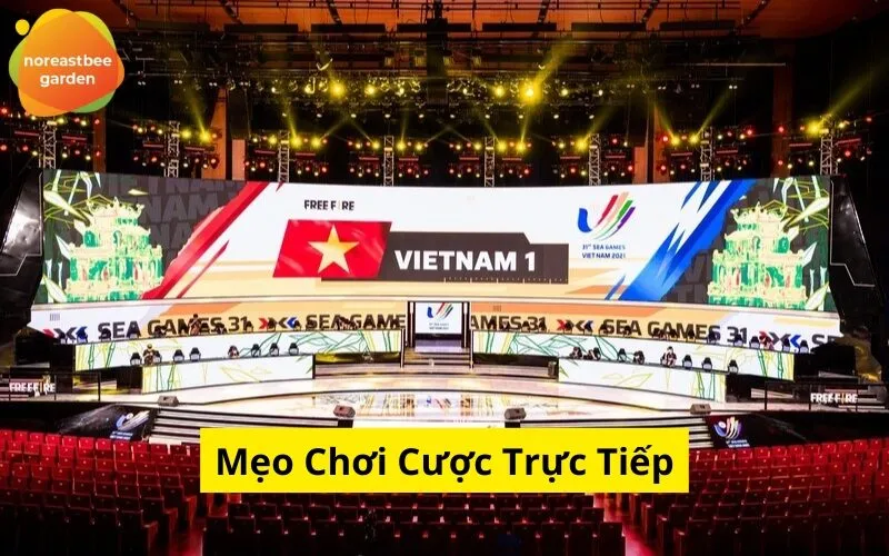 Mẹo Chơi Cược Trực Tiếp