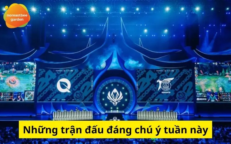 Những trận đấu đáng chú ý tuần này: