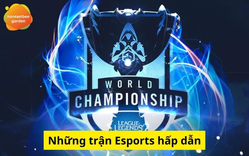 Những trận Esports hấp dẫn