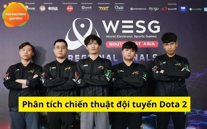 Phân tích chiến thuật đội tuyển Dota 2