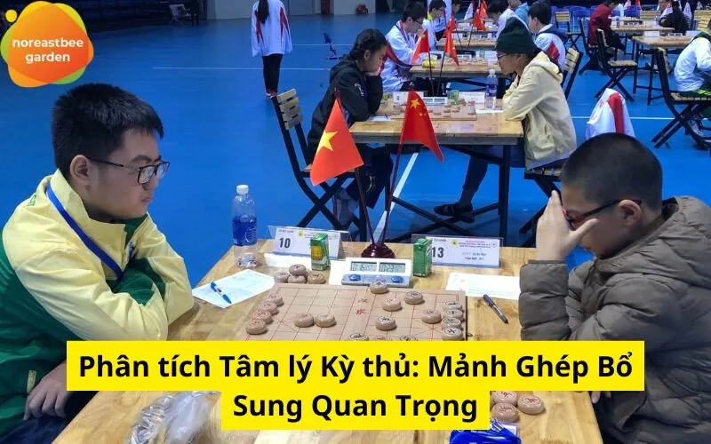 Phân tích Tâm lý Kỳ thủ: Mảnh Ghép Bổ Sung Quan Trọng