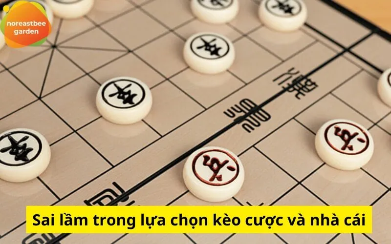 Sai lầm trong lựa chọn kèo cược và nhà cái