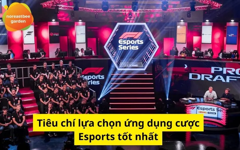 Tiêu chí lựa chọn ứng dụng cược Esports tốt nhất