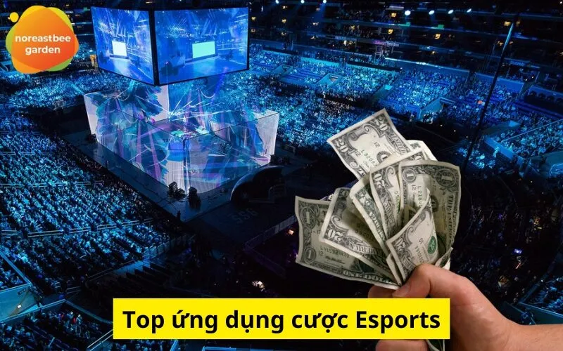 Top ứng dụng cược Esports