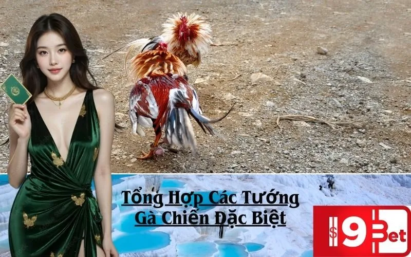 Tổng Hợp Các Tướng Gà Chiến Đặc Biệt