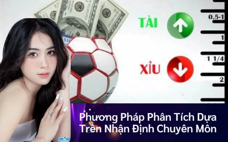 Phương Pháp Phân Tích Dựa Trên Nhận Định Chuyên Môn