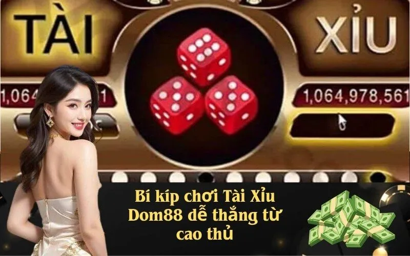 Bí kíp chơi Tài Xỉu Dom88 dễ thắng từ cao thủ